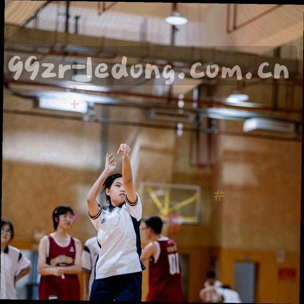 抽象运动轨迹与环形叠加图形，冷蓝与金色线条交织，象征长期观察与追踪